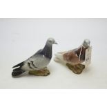 Beswick Pigeons