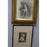 Framed dog pictures
