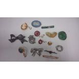 Jewellery brooches