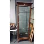 Edwardian mahogany display cabinet