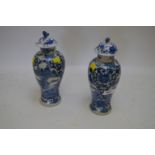 Chinese blue & white vases