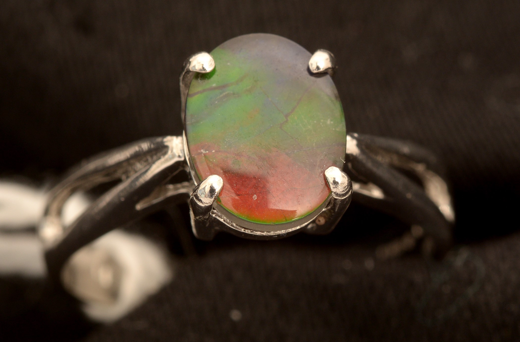 Ammolite ring