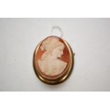 A carved shell cameo brooch