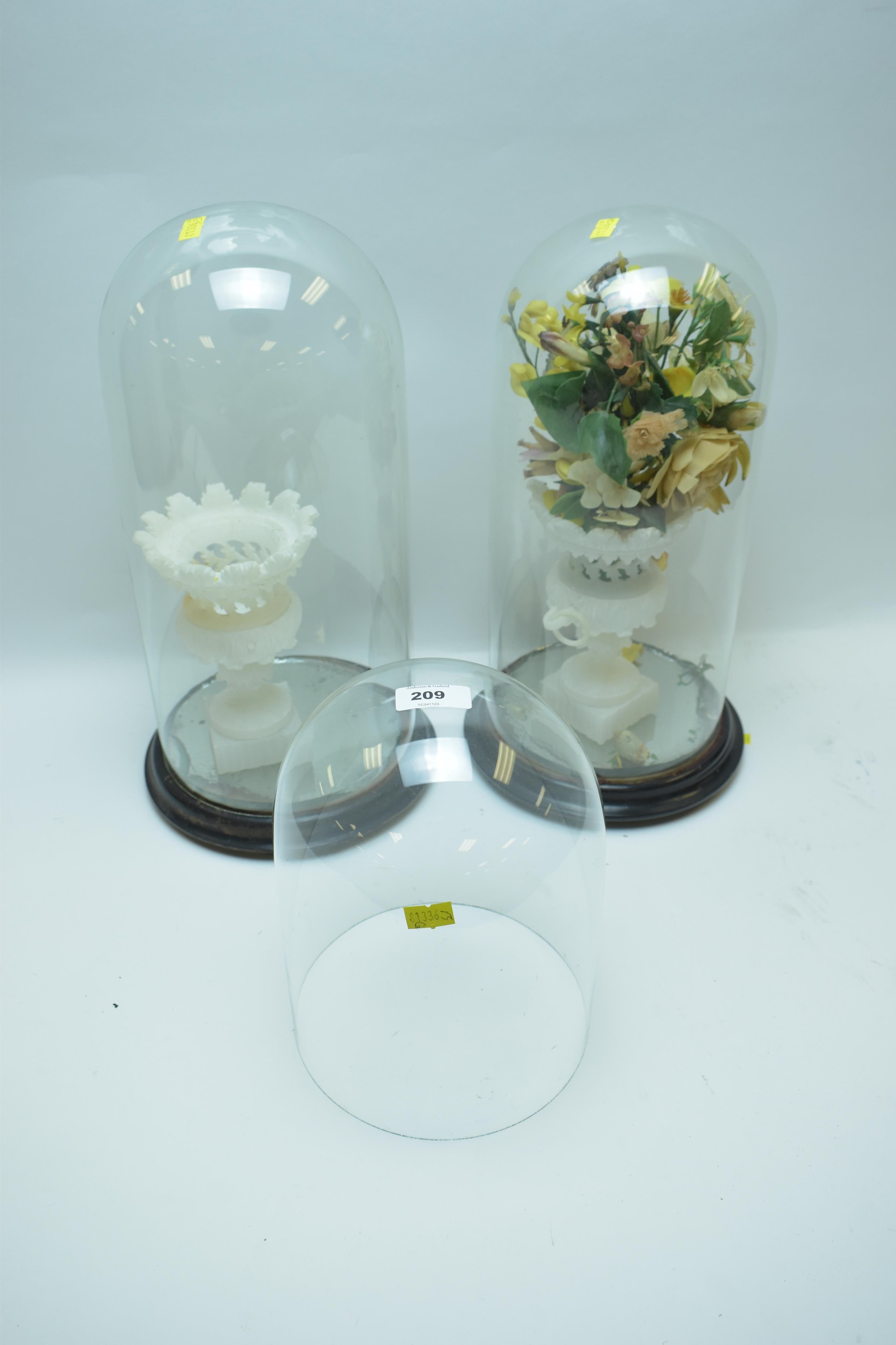 Three glass domes, two with contents