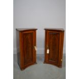 20th Century mahogany and inlaid pedestal cupboards