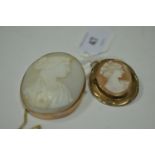 Three carved shell cameo brooches