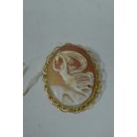 Carved shell cameo brooch