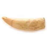 19th Century Scrimshaw whale tooth