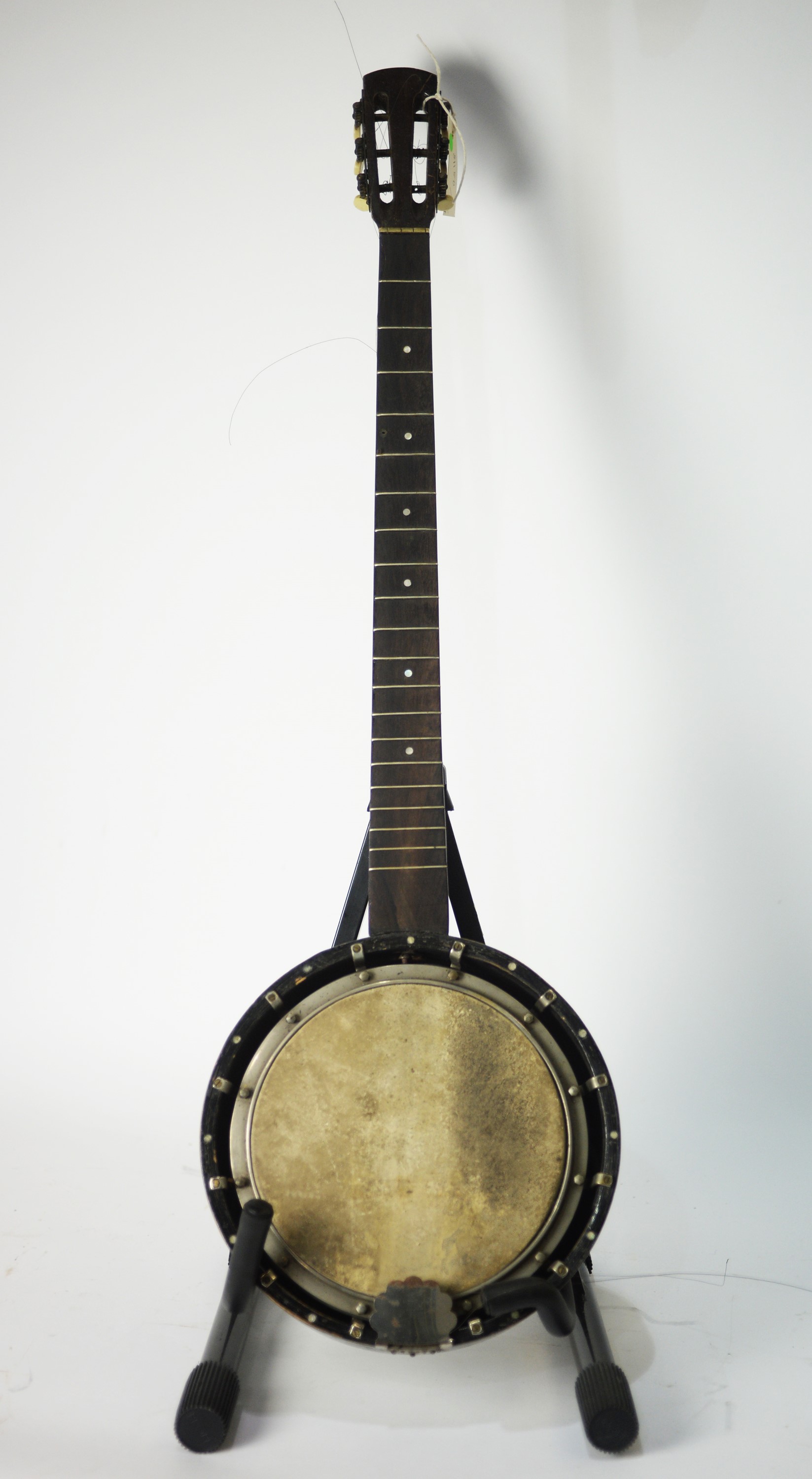 Zither banjo