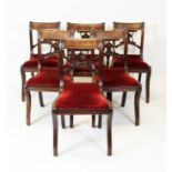 A set of six Regency mahogany Trafalgar chairs