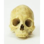 A rare carved bone skull