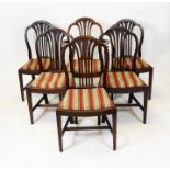 Six 19th Century mahogany dining chair