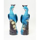 Pair Chinese phoenix