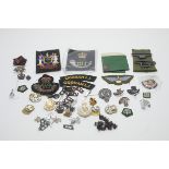 Collection of military buttons, cap badges, shoulder titles.