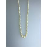A single row of graduated cultured pearls