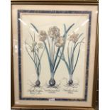 A trio of botanical framed prints (3)