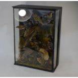 Taxidermy - a Victorian glazed case display