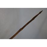 A 19th century British Colonial military bamboo lance