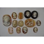Thirteen miniature shell cameos