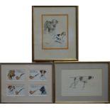 Cecil Aldin - Seven various prints and etchings of dogs including pointer, terriers etc, some hand-c