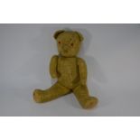 A large gold plush teddy bear with plastic eyes