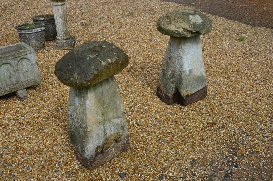 Four antique cut-stone staddle stones - Image 4 of 4