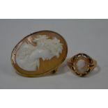 An oval shell cameo brooch