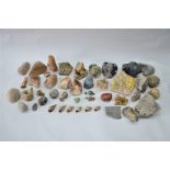 A quantity of crystal geodes and other rocks and fossils