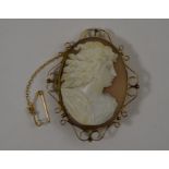 Two antique shell cameo brooches