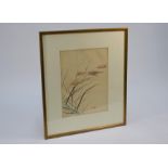 Nishiyama Kanei (1833-97) woodblock, cricket amongst rice plants