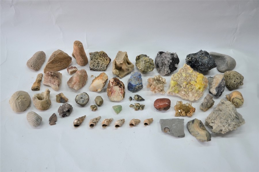 A quantity of crystal geodes and other rocks and fossils