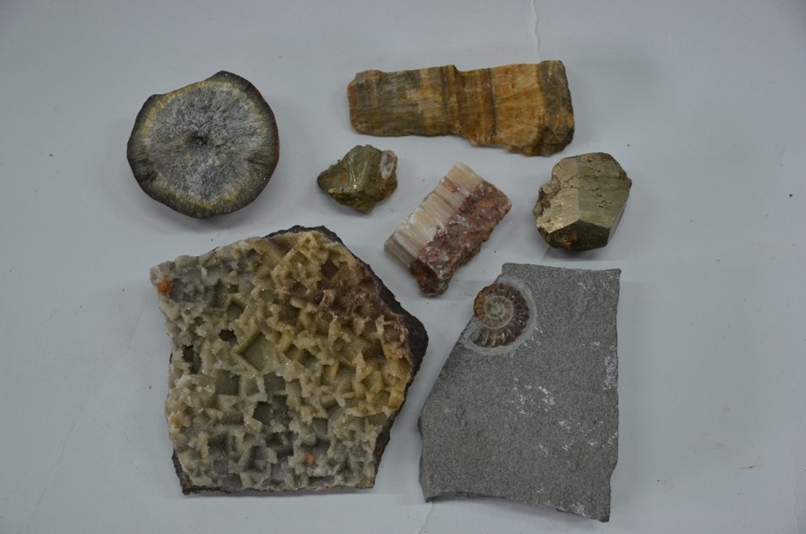 A quantity of crystal geodes and other rocks and fossils - Image 7 of 10