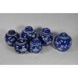 Six Chinese prunus pattern ginger jars