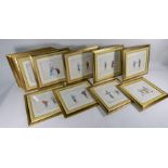A set of twelve framed and glazed Chinese export watercolour paintings