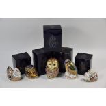 Five boxed Royal Crown Derby china paperweights