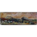 Ruth Robinson Cromlech, St Davids Head Oil on canvas Signed and dated 2011 verso 15.5 x 45.