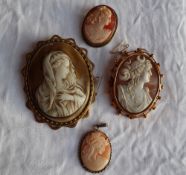 A shell cameo brooch, depicting a goddess in profile, in a 9ct yellow gold setting,