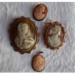 A shell cameo brooch, depicting a goddess in profile, in a 9ct yellow gold setting,