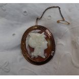 A shell cameo depicting a Gladiator in profile, in a yellow metal mount, 50mm x 43mm,