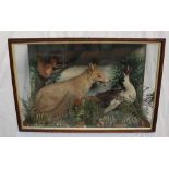 Taxidermy - A display of a Fox attacking a duck with a squirrel on a branch in the background, 91.