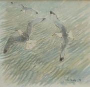 John Busby Kittiwakes Watercolour Signed and dated '83 14.5 x 15.