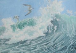 John Tennent Terns and breaking wave Watercolour Signed and label verso 28.