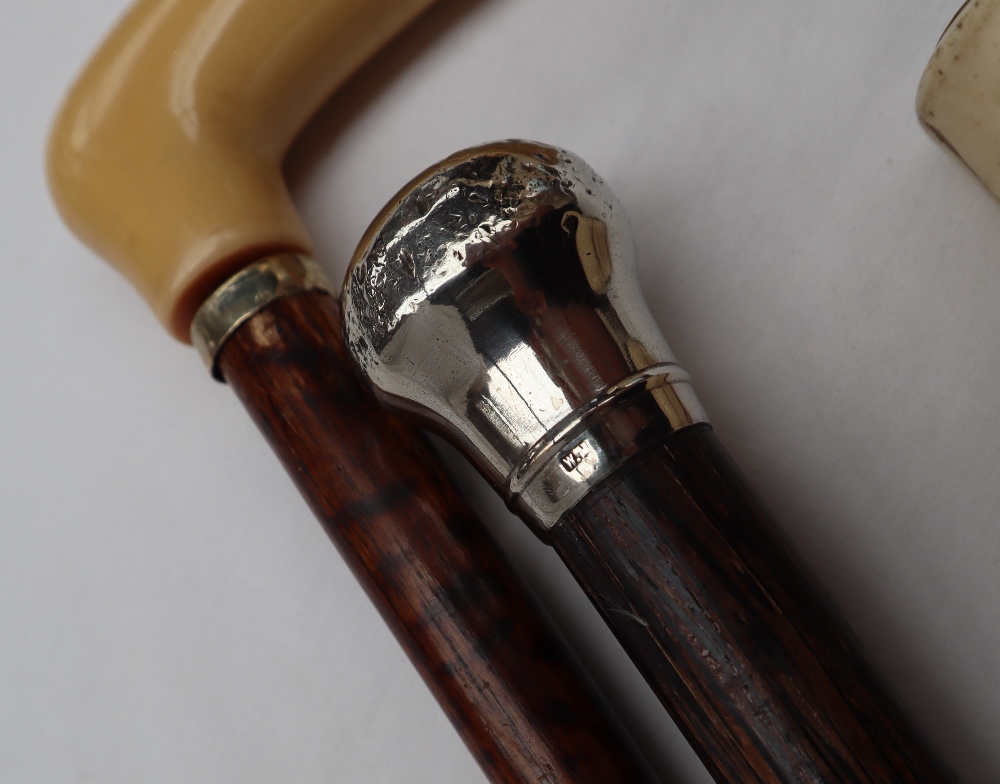 A silver topped walking stick, - Image 3 of 4