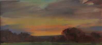 David Lloyd Griffith Sunset study Oil on board Initialled and inscribed verso 10.5 x 28.