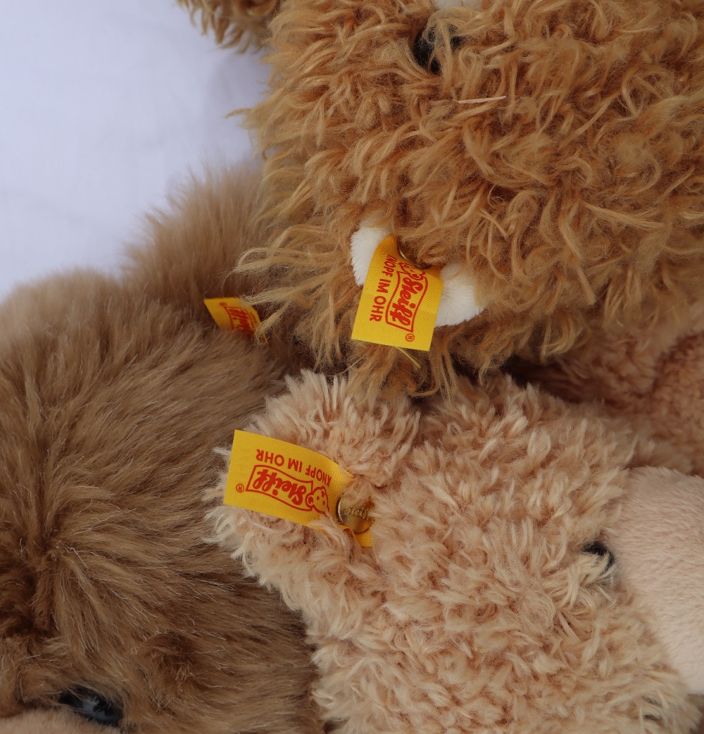 A Steiff Fynn teddy bear together with two other plush Steiff teddy bears - Image 8 of 8