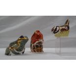 A Royal Derby paperweight, in the form of a Mountain Frog,