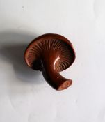 A 19th century Japanese carved wooden netsuke of a mushroom,