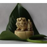 A 19th century Japanese ivory netsuke depicting a shi shi lion dog on an oval base,