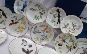 Thirteen Royal Worcester dessert plates - The Birds of Dorothy Doughty, limited edition, Numbers 1,