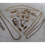 Two 9ct gold ingot pendants, together wit 9ct gold earrings, necklaces, bracelet etc,
